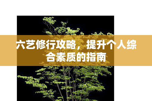 六艺修行攻略，提升个人综合素质的指南