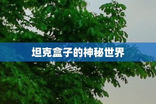 坦克盒子的神秘世界