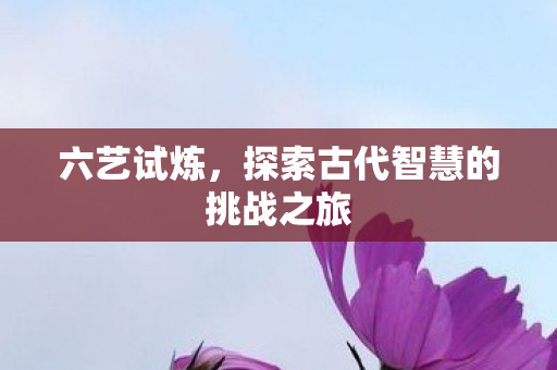 六艺试炼，探索古代智慧的挑战之旅