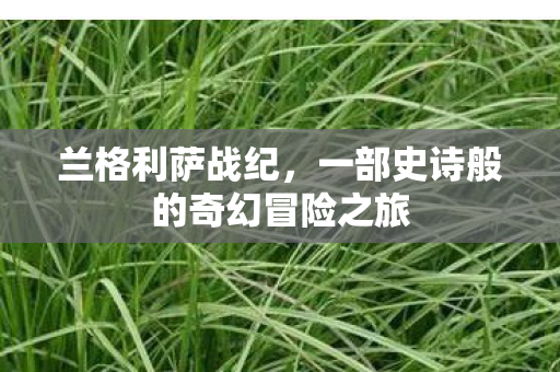 兰格利萨战纪，一部史诗般的奇幻冒险之旅