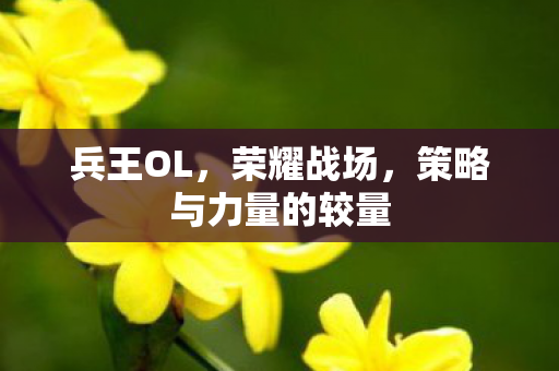 兵王OL，荣耀战场，策略与力量的较量