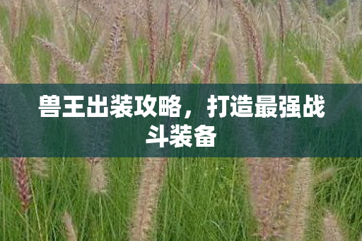 兽王出装攻略，打造最强战斗装备