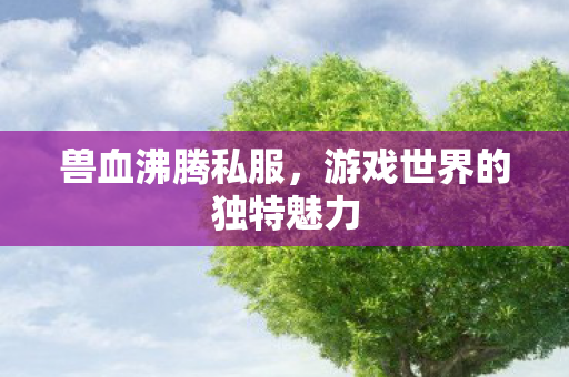 兽血沸腾私服，游戏世界的独特魅力