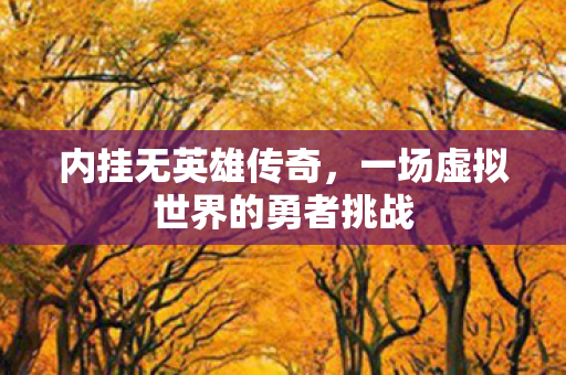 内挂无英雄传奇，一场虚拟世界的勇者挑战