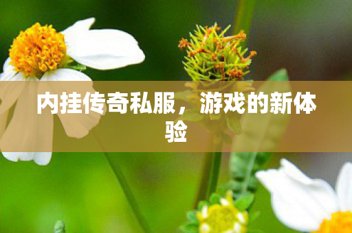 内挂传奇私服,游戏的新体验 内挂传奇私服,游戏的新体验