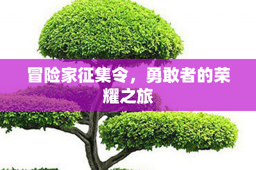 冒险家征集令，勇敢者的荣耀之旅