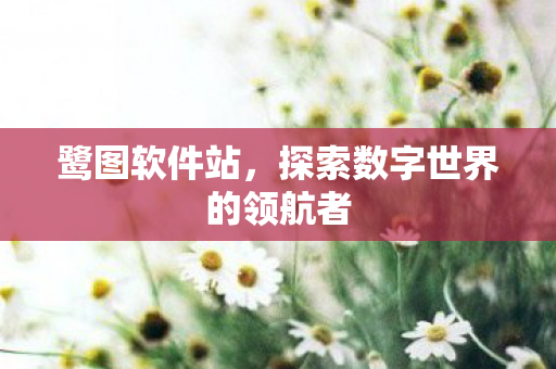 鹭图软件站,探索数字世界的领航者 鹭图软件站,探索数字世界的领航者