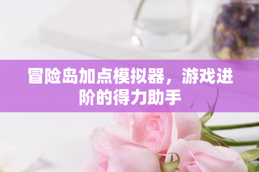 冒险岛加点模拟器，游戏进阶的得力助手
