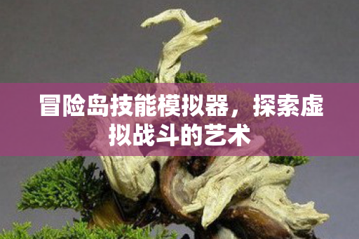 冒险岛技能模拟器,探索虚拟战斗的艺术 冒险岛技能模拟器,探索虚拟战斗的艺术