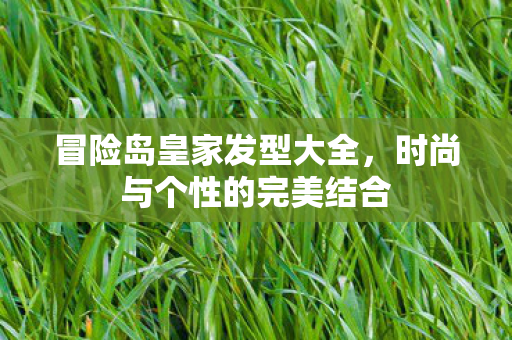 冒险岛皇家发型大全,时尚与个性的完美结合 冒险岛皇家发型大全,时尚与个性的完美结合