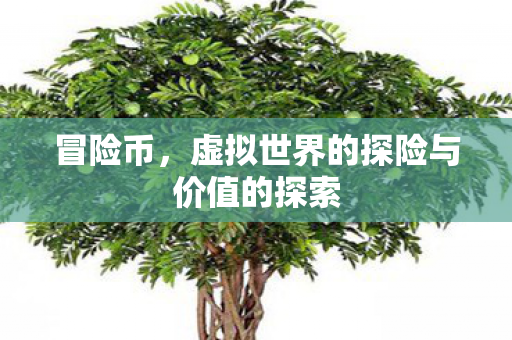 冒险币，虚拟世界的探险与价值的探索