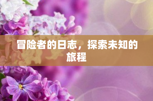 冒险者的日志，探索未知的旅程