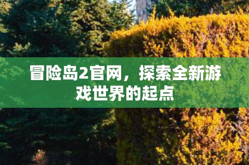 冒险岛2官网，探索全新游戏世界的起点