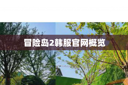 冒险岛2韩服官网概览