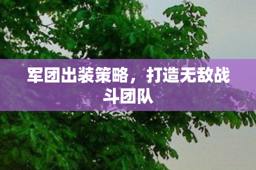 军团出装策略，打造无敌战斗团队