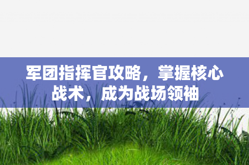 军团指挥官攻略，掌握核心战术，成为战场领袖