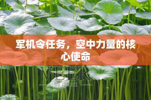 军机令任务，空中力量的核心使命