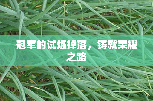 冠军的试炼掉落，铸就荣耀之路