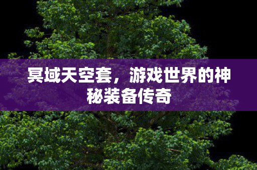 冥域天空套，游戏世界的神秘装备传奇