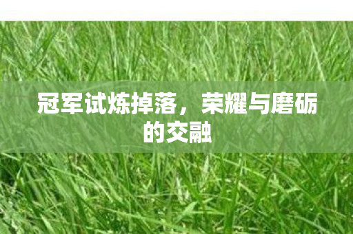 冠军试炼掉落，荣耀与磨砺的交融