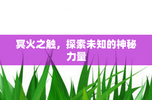 冥火之触,探索未知的神秘力量 冥火之触,探索未知的神秘力量