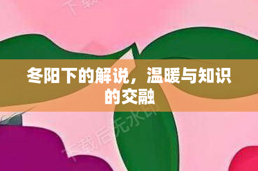 冬阳下的解说，温暖与知识的交融