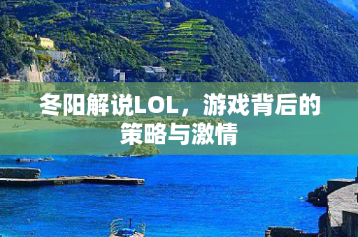 冬阳解说LOL，游戏背后的策略与激情