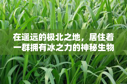 在遥远的极北之地,居住着一群拥有冰之力的神秘生物—冰女。她们是自然的守护者,也是冰雪的精灵。她们拥有着与众不同的特质和能力,在冰冷的世界中展现出独特的魅力 在遥远的极北之地,居住着一群拥有冰之力的神秘生物—冰女。她们是自然的守护者,也是冰雪的精灵。她们拥有着与众不同的特质和能力,在冰冷的世界中展现出独特的魅力