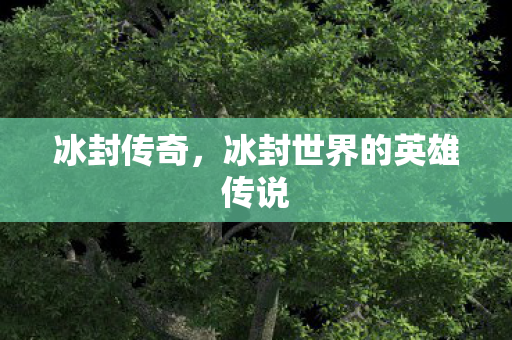 冰封传奇,冰封世界的英雄传说 冰封传奇,冰封世界的英雄传说