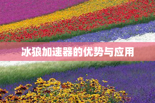 冰狼加速器的优势与应用 冰狼加速器的优势与应用