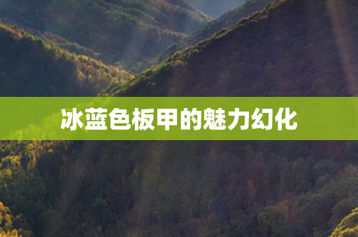冰蓝色板甲的魅力幻化 冰蓝色板甲的魅力幻化