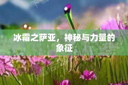 冰霜之萨亚,神秘与力量的象征 冰霜之萨亚,神秘与力量的象征