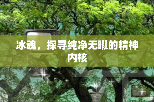冰魂，探寻纯净无暇的精神内核