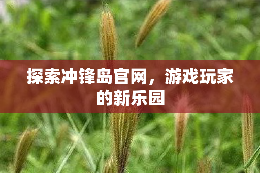 探索冲锋岛官网,游戏玩家的新乐园 探索冲锋岛官网,游戏玩家的新乐园