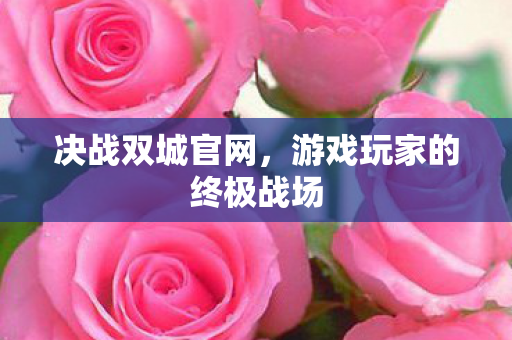 决战双城官网，游戏玩家的终极战场