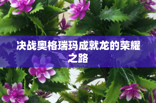 决战奥格瑞玛成就龙的荣耀之路 决战奥格瑞玛成就龙的荣耀之路