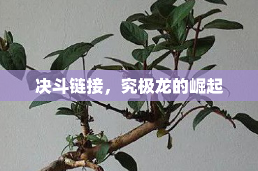 决斗链接,究极龙的崛起 决斗链接,究极龙的崛起