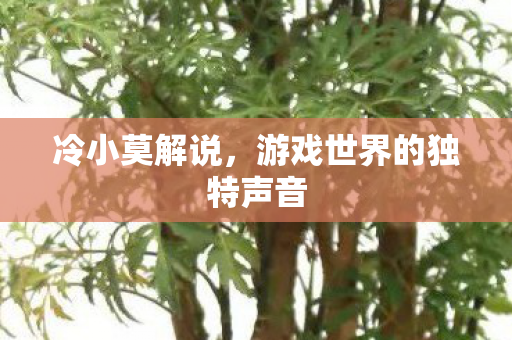 冷小莫解说，游戏世界的独特声音