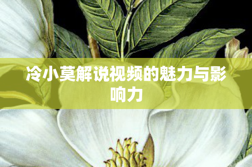 冷小莫解说视频的魅力与影响力