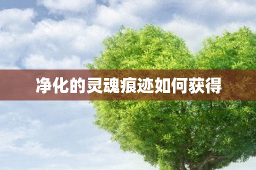净化的灵魂痕迹如何获得