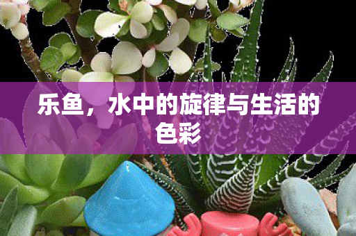 乐鱼,水中的旋律与生活的色彩 乐鱼,水中的旋律与生活的色彩
