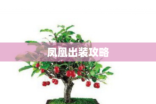 凤凰出装攻略 凤凰出装攻略