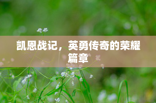 凯恩战记，英勇传奇的荣耀篇章