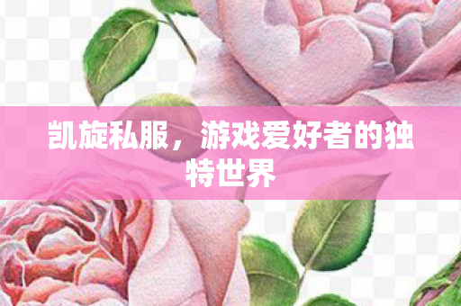 凯旋私服，游戏爱好者的独特世界