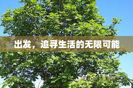出发，追寻生活的无限可能