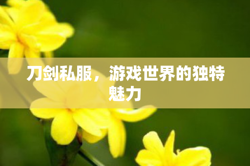 刀剑私服，游戏世界的独特魅力