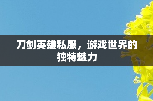 刀剑英雄私服,游戏世界的独特魅力 刀剑英雄私服,游戏世界的独特魅力