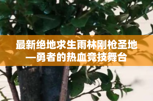 最新绝地求生雨林刚枪圣地—勇者的热血竞技舞台