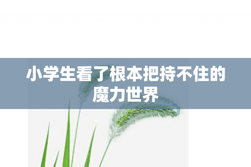小学生看了根本把持不住的魔力世界 小学生看了根本把持不住的魔力世界