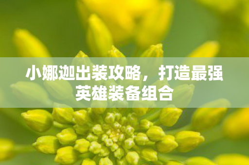 小娜迦出装攻略,打造最强英雄装备组合 小娜迦出装攻略,打造最强英雄装备组合